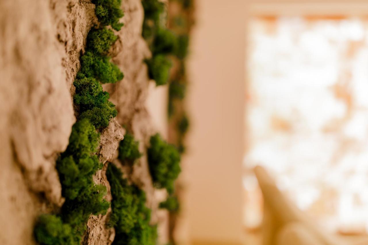 Muller Hotel Boutique & Spa Galaţi Dış mekan fotoğraf